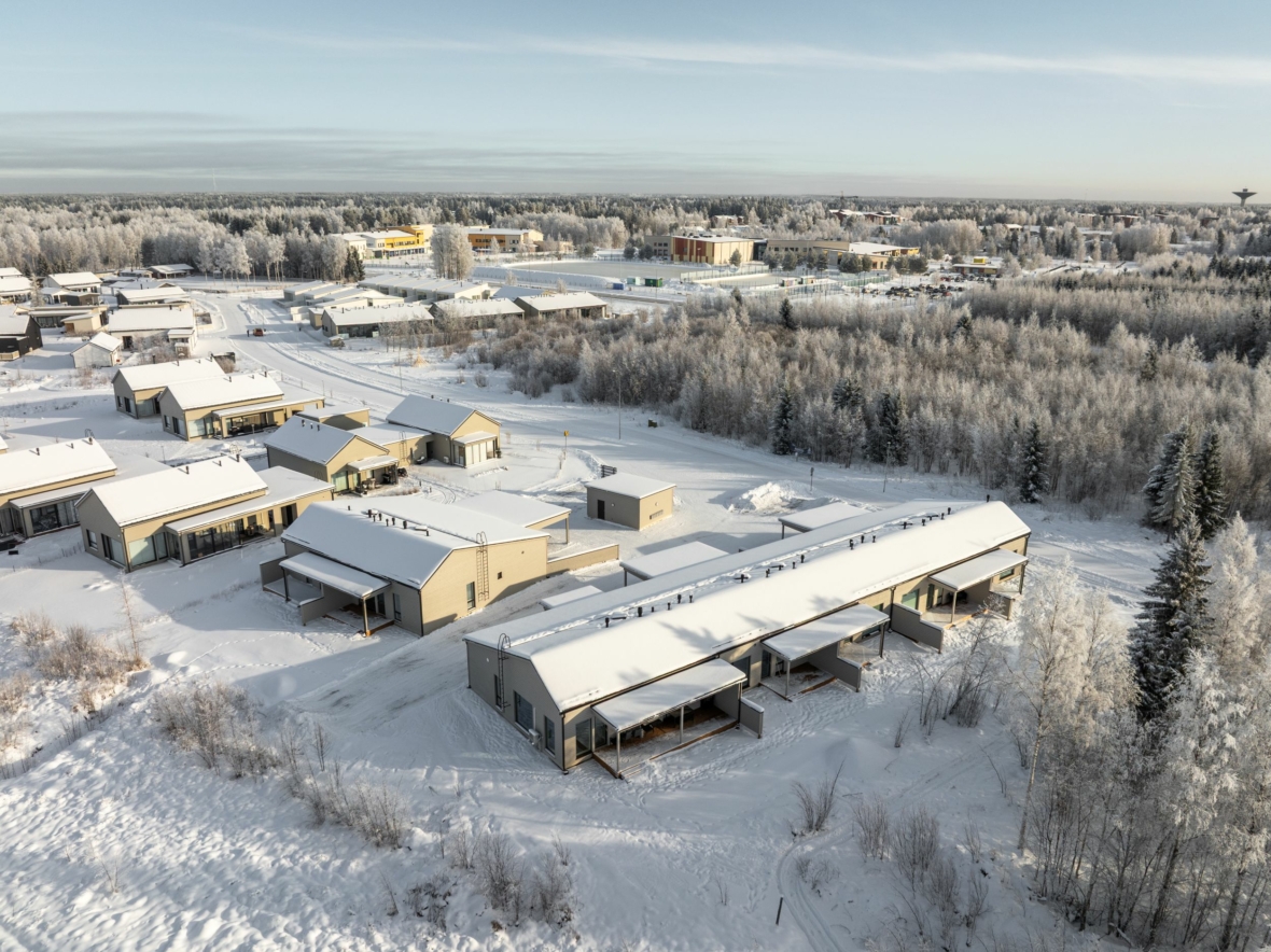 Ilmakuva Mantelipuisto - 12